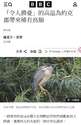 附圖