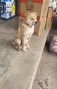 附圖