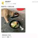 附圖