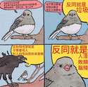 附圖