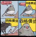 附圖