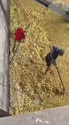 附圖