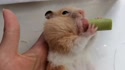 附圖