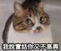 附圖
