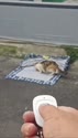 附圖