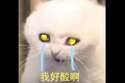 附圖