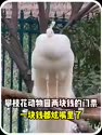附圖