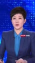 附圖