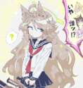 附圖