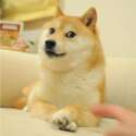 附圖