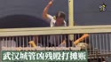 附圖
