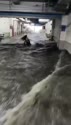附圖