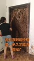 附圖