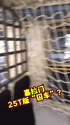 附圖