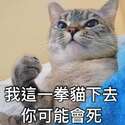 附圖