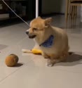 附圖