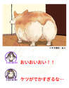 附圖