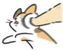 附圖