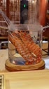 附圖