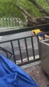 附圖