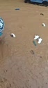 附圖