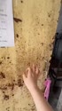 附圖