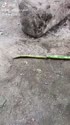 附圖