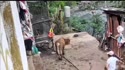 附圖