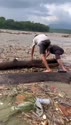 附圖
