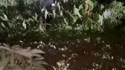 附圖
