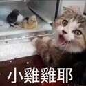 附圖