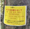 附圖