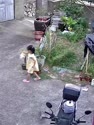附圖