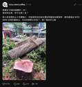 附圖